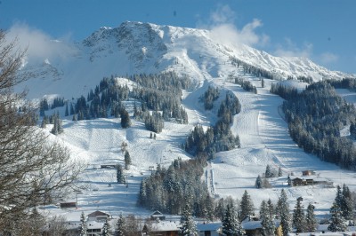 dsc_0035.jpg